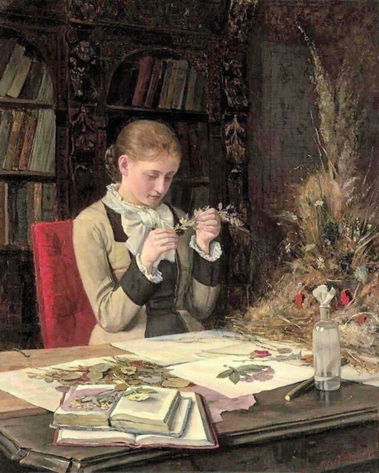 tableau examen de plante